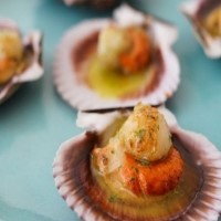 Ración de 6 zamburiñas hechas a la plancha. - ZAMBURIÑAS A LA PLANCHA