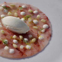 GAMBAS DE MENORCA aliñado con pomada de mango y yuzu. Galleta de pesto. - CARPACCIO DE GAMBAS 