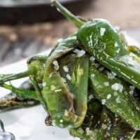 Pimientos del Padrón fritos . - PIMIENTOS DEL PADRóN