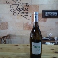 Muy fresco, con buena acidez, sabor intenso, afrutado, equilibrado, complejo, con un final largo y ligeramente amargo. - PROTOS